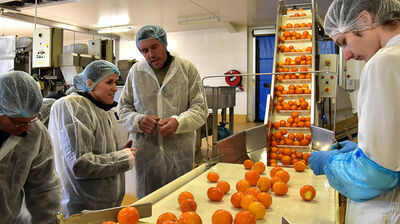 Mandarines