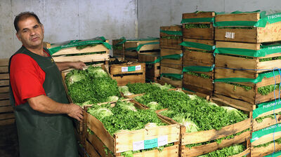 Gières légumes