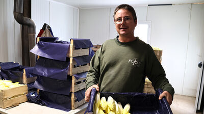 La Ferme de la Montagne