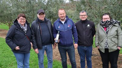 EARL Mounier les oliviers