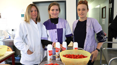 Menus d'avril et mai 2026